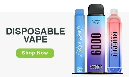 DISPOSABLE